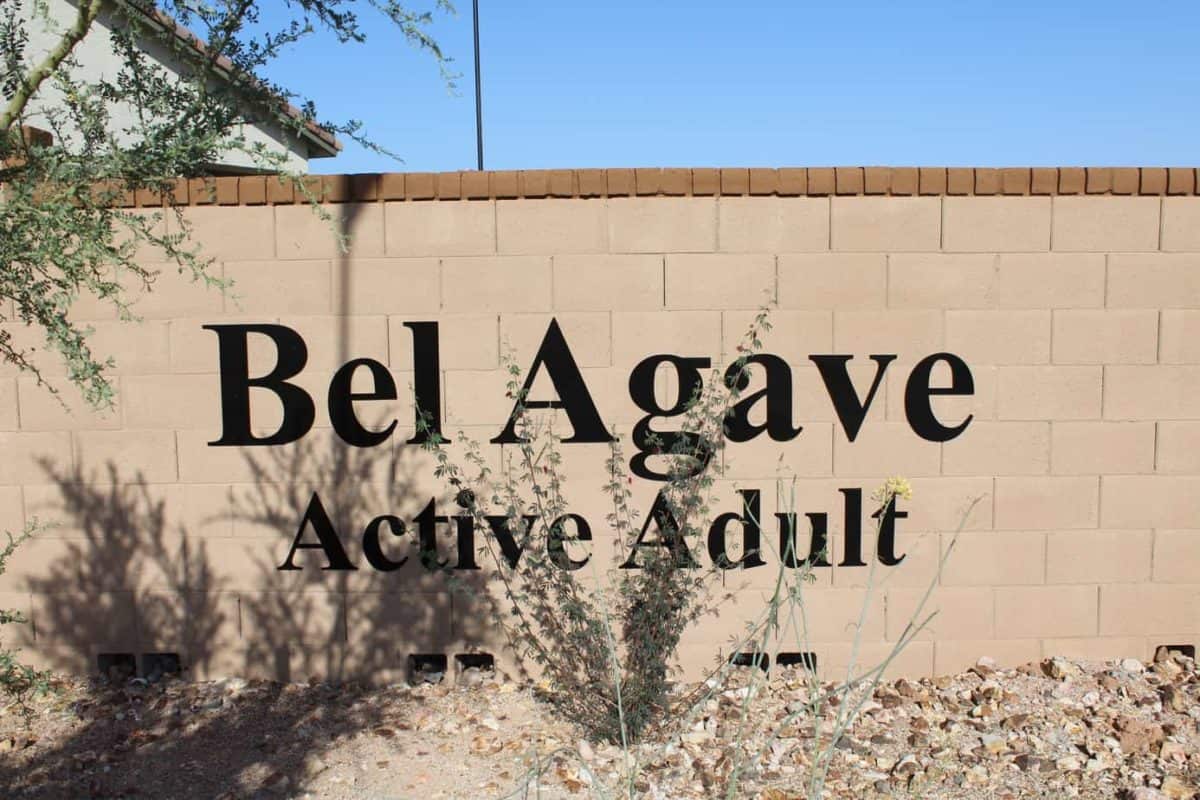 Bel-Agave-active-adult