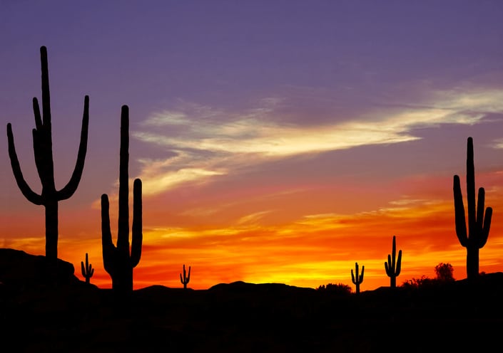 Arizona 55 Plus Communities offer the Best Desert Sun Sets